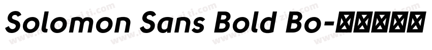 Solomon Sans Bold Bo字体转换